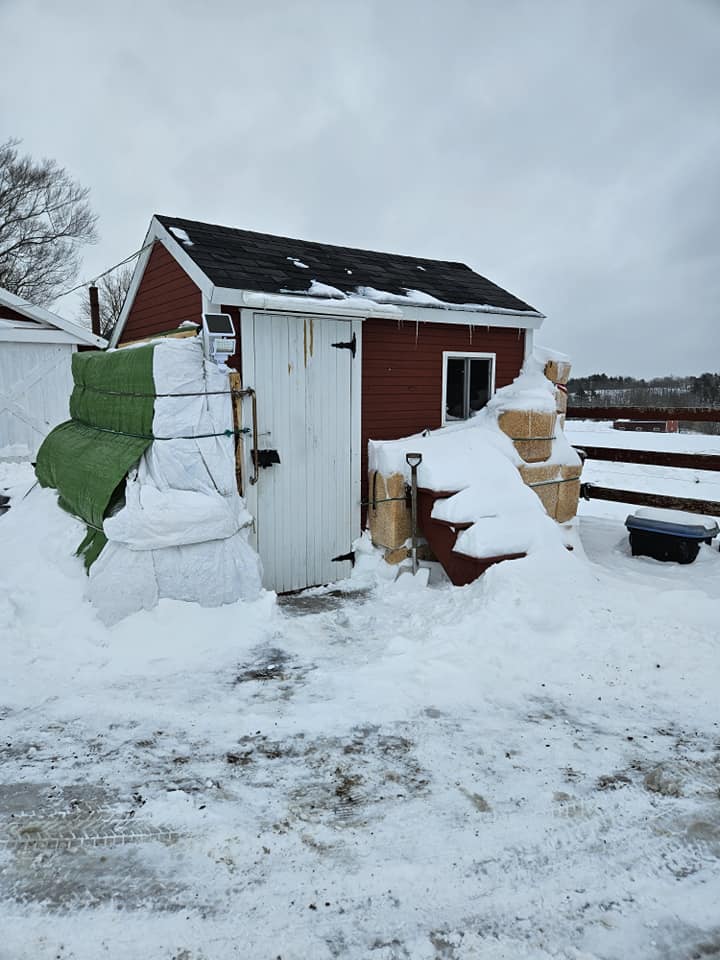 The shed in winter
